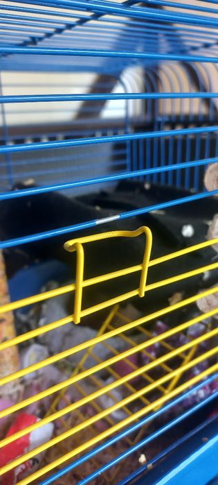 Клітка для гризунів(щури, хом'як, миші)