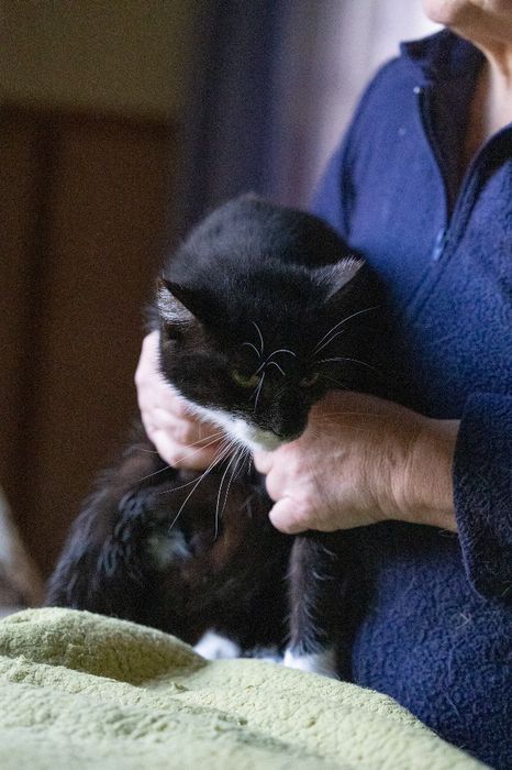 Czarno-biały kocurek Śliniak czeka na adopcję