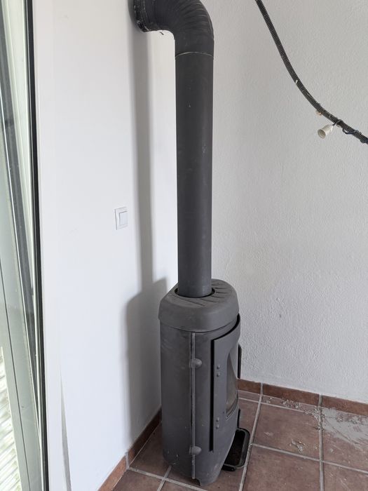Salamandra  cilindrica   80 x 45 x 30