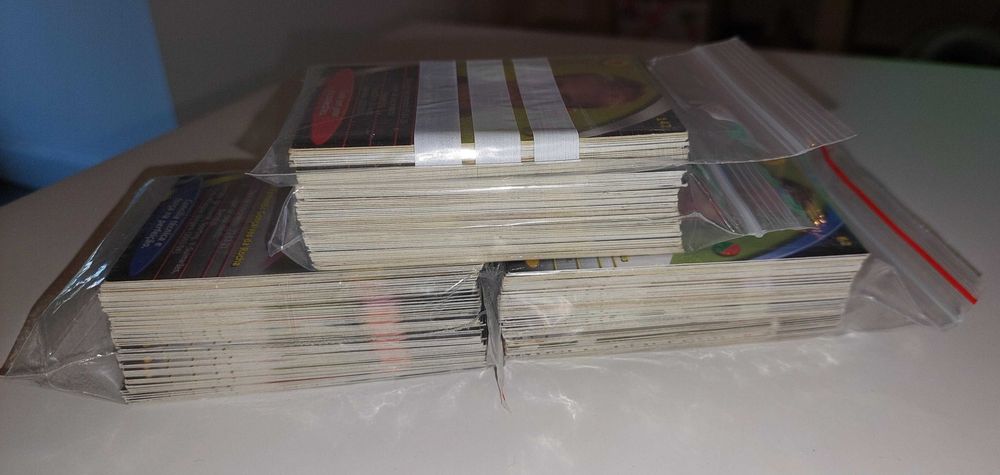 Cartas Mega Craques 2004 | Panini Megacraques 2003-04 (Ver Lista)