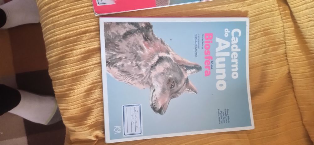 3 cadernos de fichas 5o ano