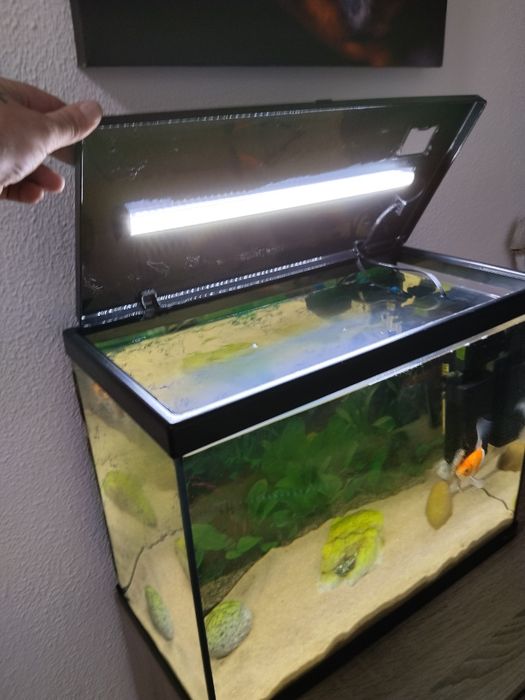 Aquário completo aceito troca