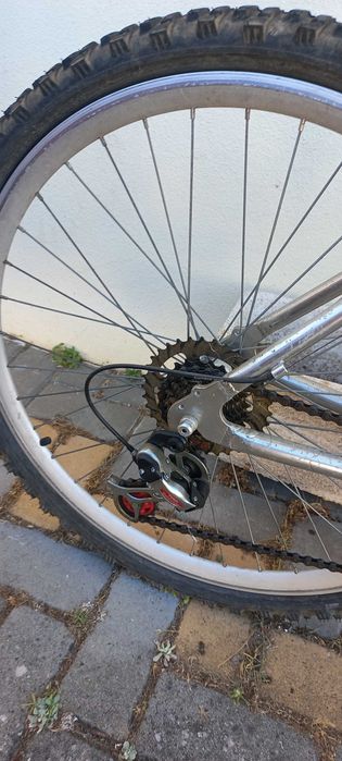 Bicicleta adulto