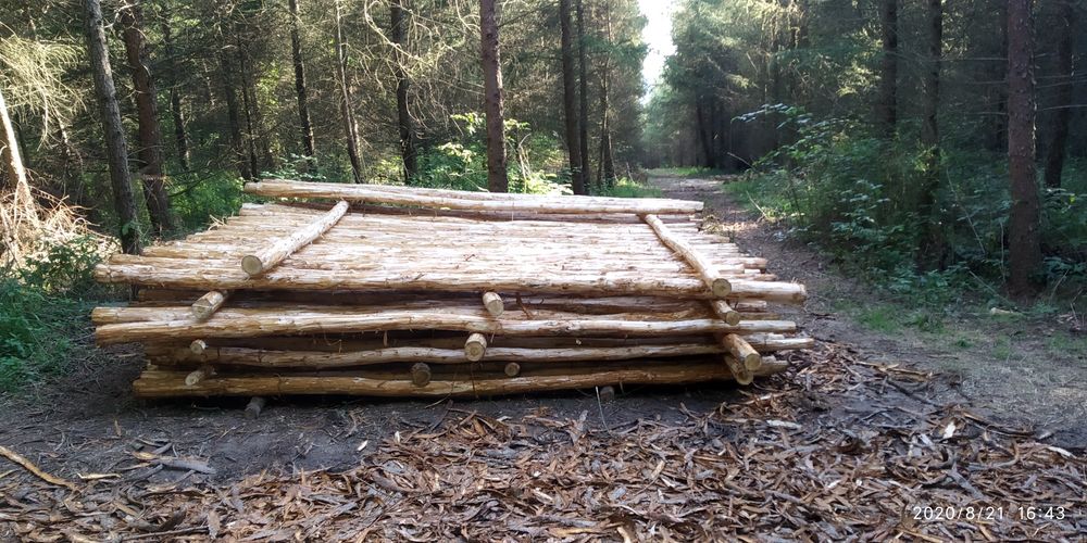 Żerdzie, słupki modrzewiowe