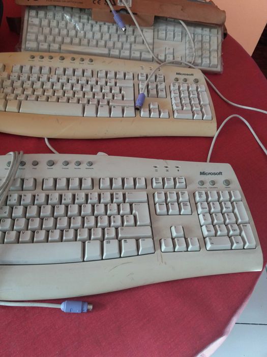 Teclados e ratos