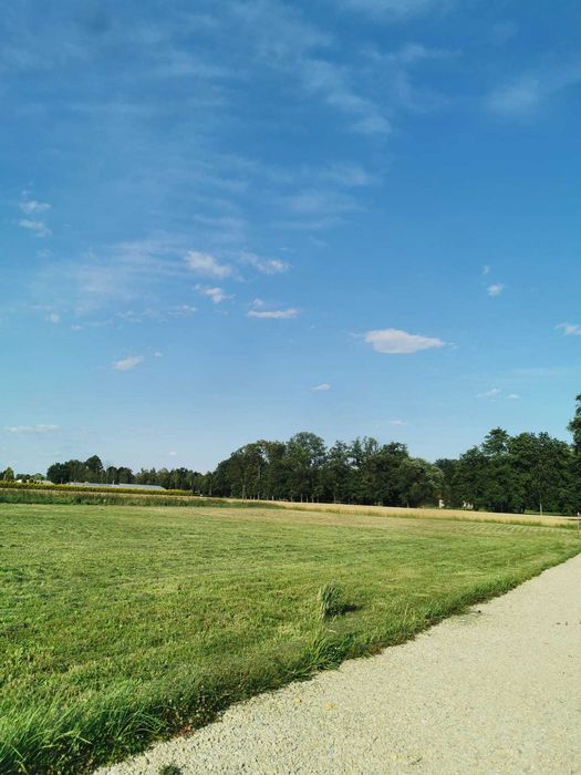 Działka budowlana 983 m² | Pisarzowice, ul. Bielska | Świetna lokalizacja! - Widok 4