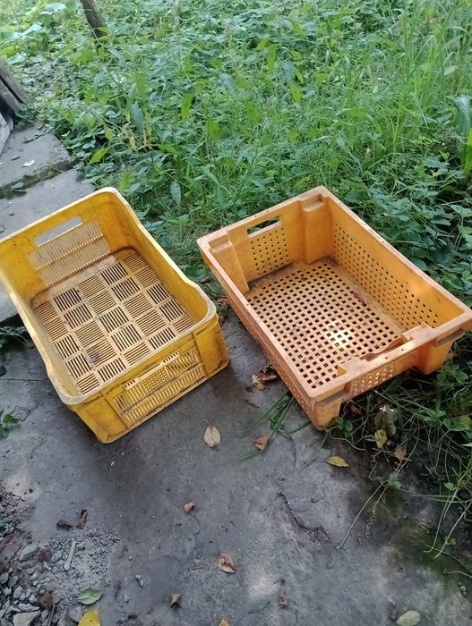 Ящики для фруктів і овочів.