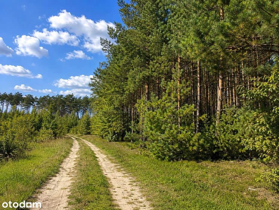 Gotowy kompleks działek UT w Dolinie Baryczy – Pomorska k. Milicza