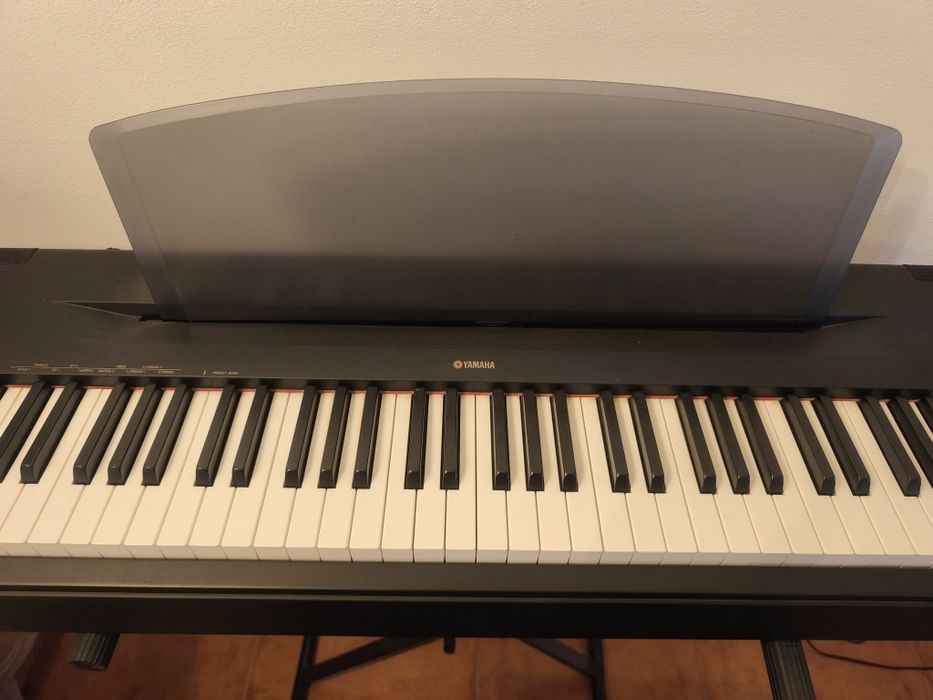 Piano Yamaha P-60