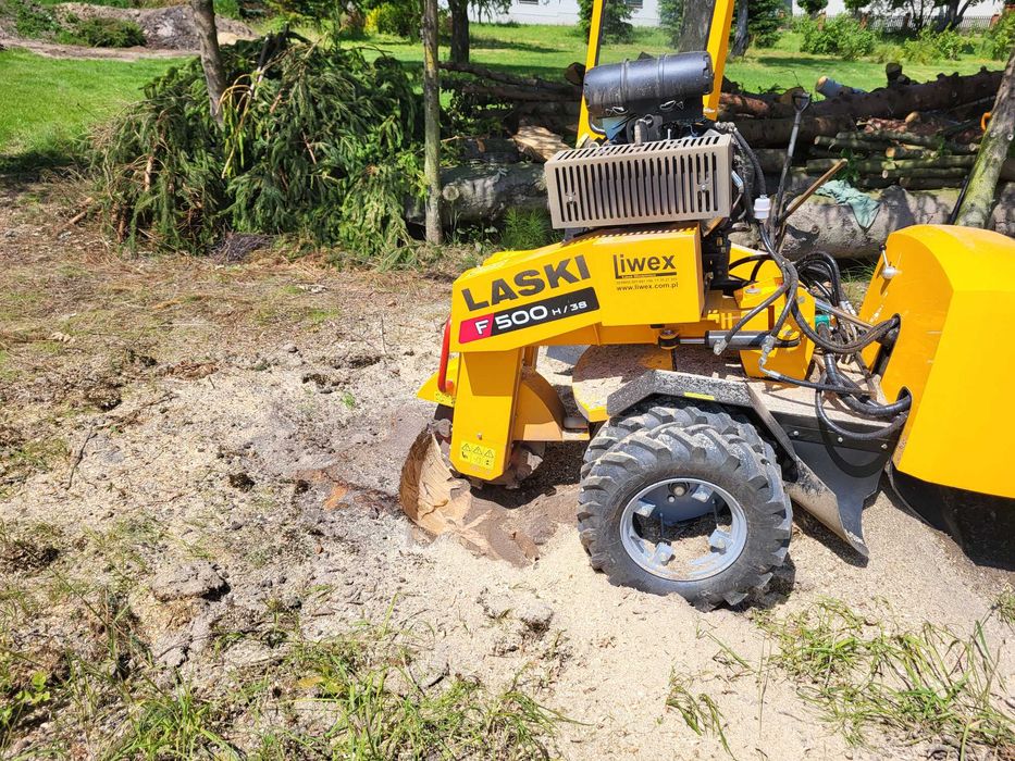 Frezowanie pni, usuwanie pni korzeni drzew, mulczowanie, wycinka drzew