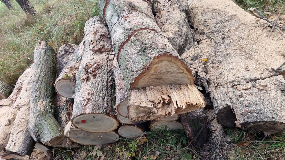 Usługi ogrodnicze Grześ