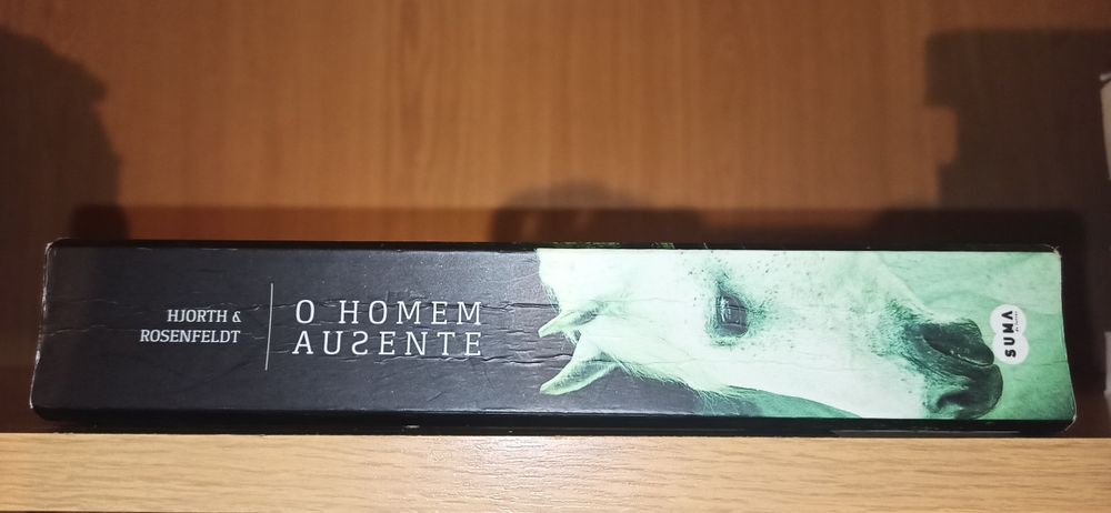 Sebastian Bergman Serie