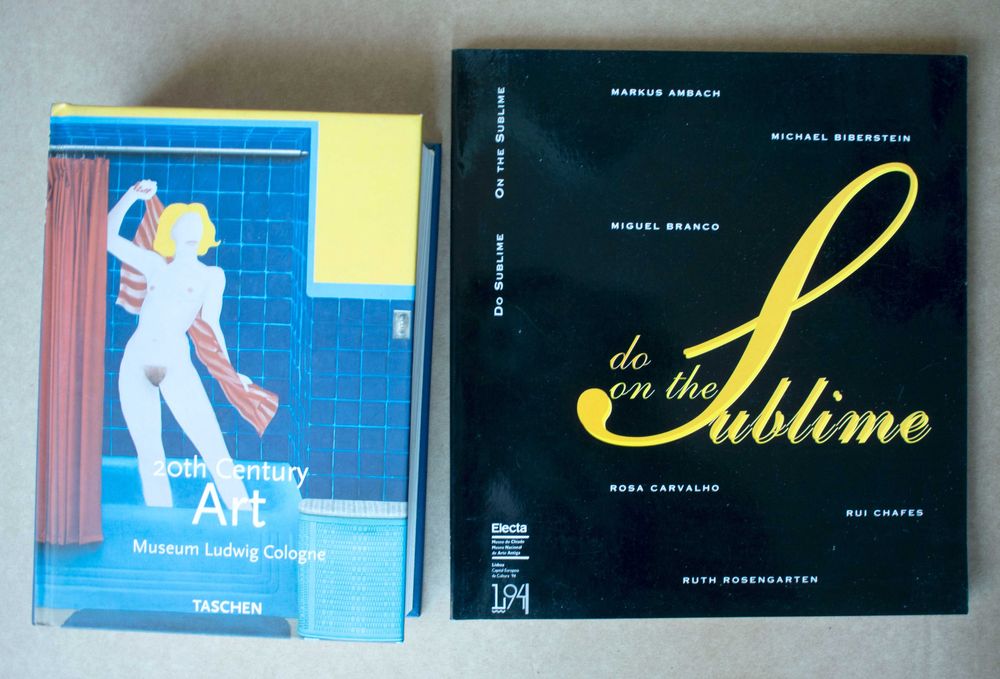 Livros sobre arte do século XX