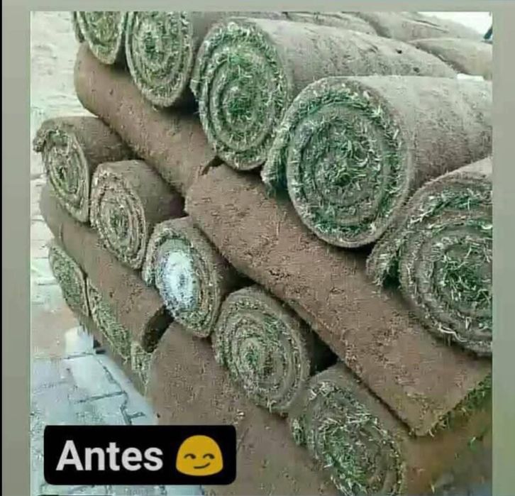 Limpeza e manutencao de jardins e quintais