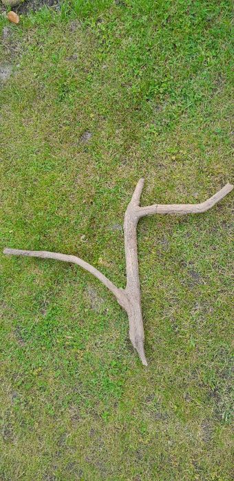 Drewniany element do terarium