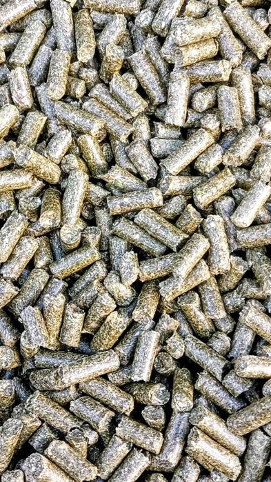 Pellet pasza granulowana z siana mieszanki traw dla zwierząt koni