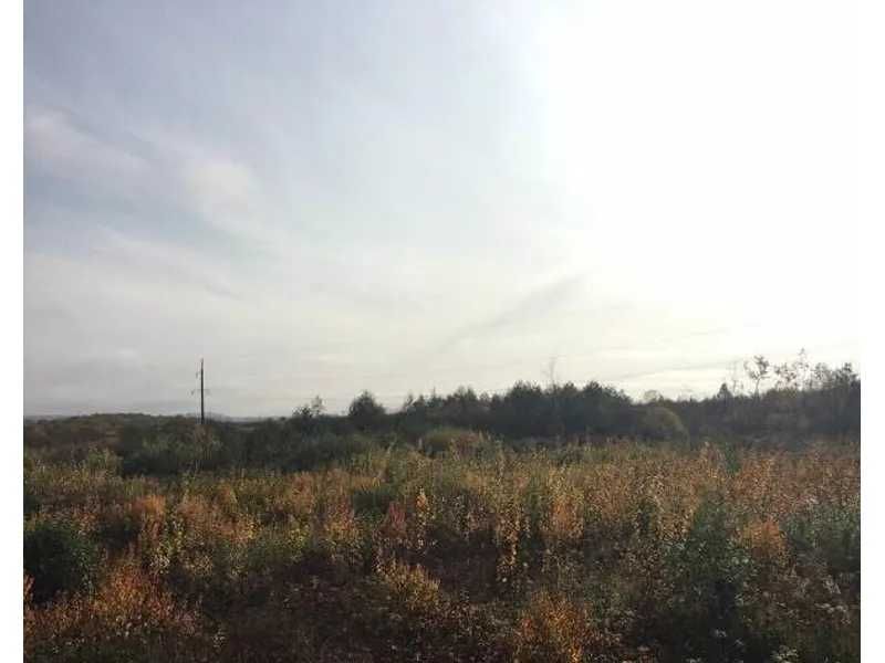 Земельна ділянка (2,8573 га) - с. Шегині Львівська обл.