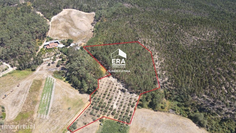 Terreno Rústico localizado em Cercal, Ourém
