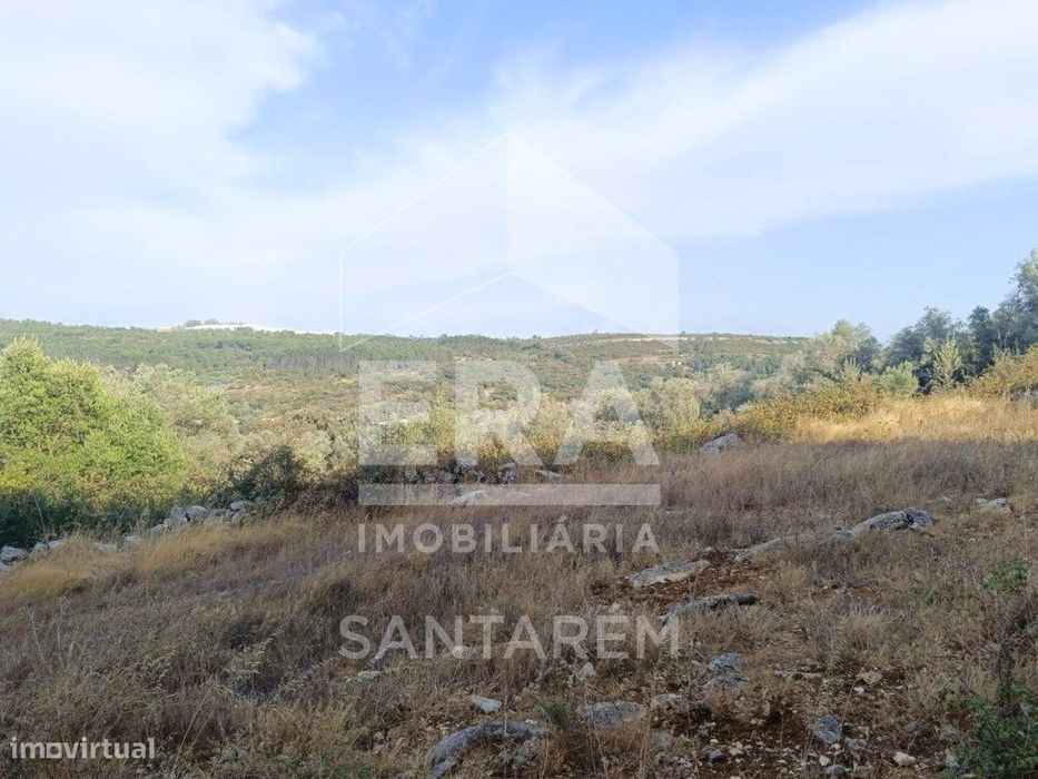 Moradia em Pedra com Vista Panorâmica