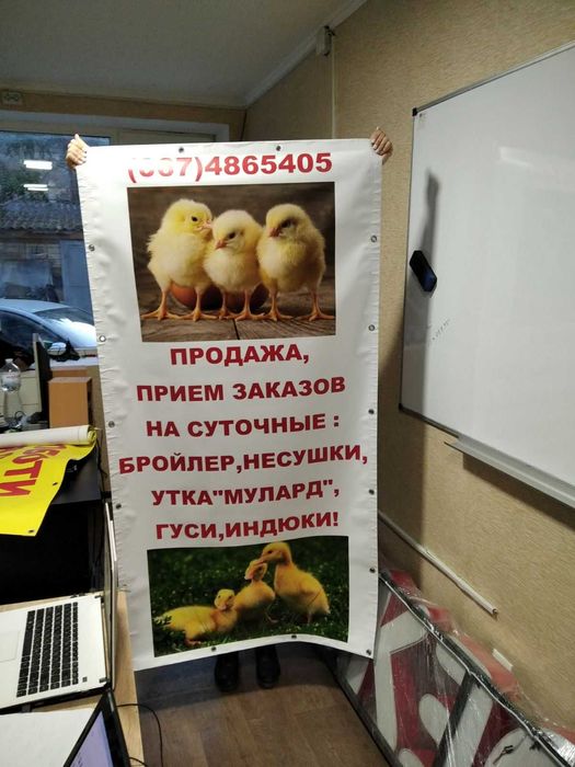 Наружная реклама Одесса, Баннер, Вывеска, Монтаж, дизайн. Поклейка