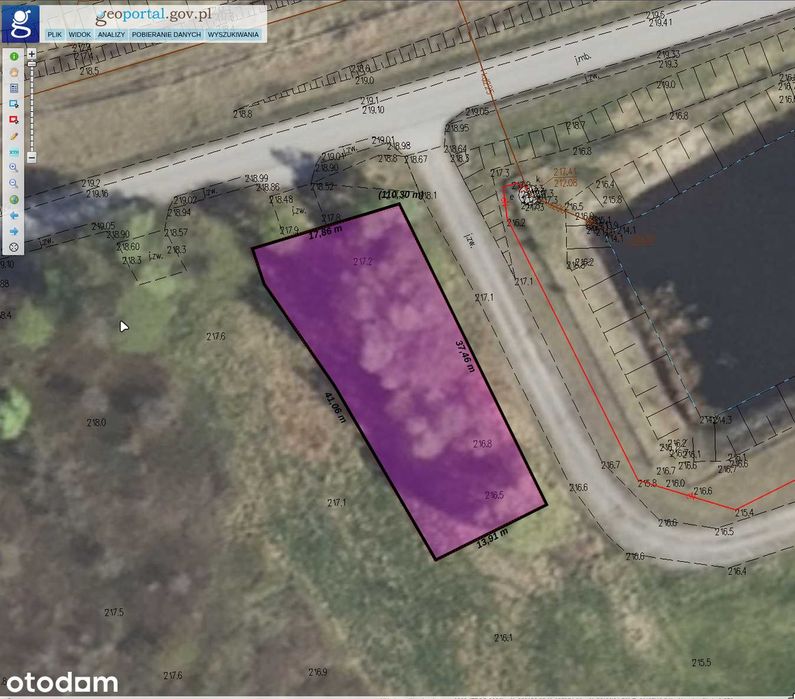Kozodrza działka rolna 6000 m² w spokojnej okolicy - Widok 3