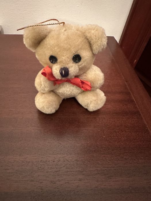 Ursinho de peluche pequenino