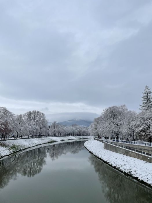 Куратор | Вступ в Словаччину