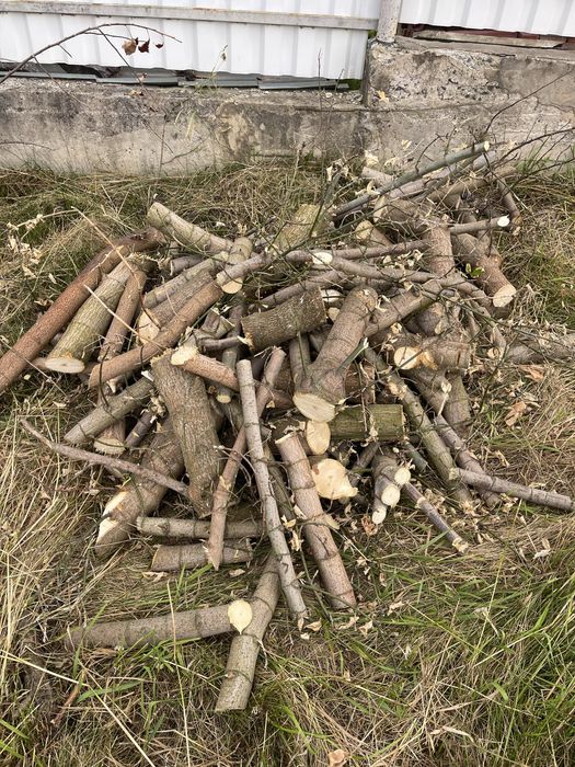 Покос трави/Косіння трави/Порізка Дерев / Виріз дерев