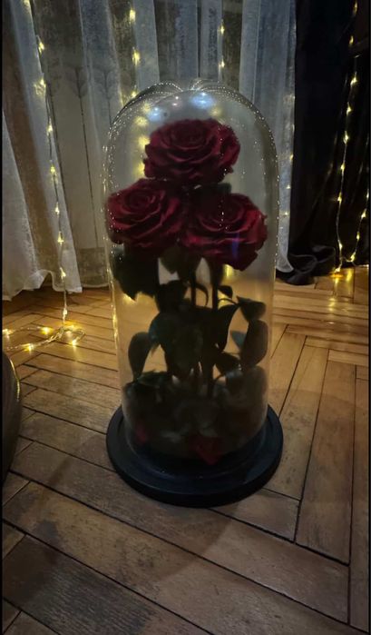 Троянди Lerosh Elit 43 см