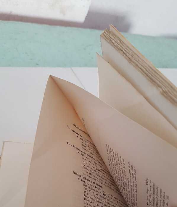 Livro Françês do autor Jean Brunhes ( A geografia humana ) de 1947