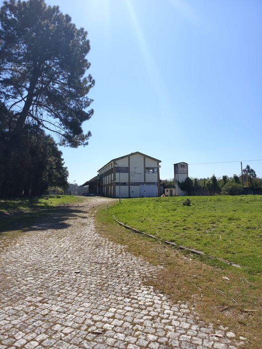 Armazem olival - liçenca industria