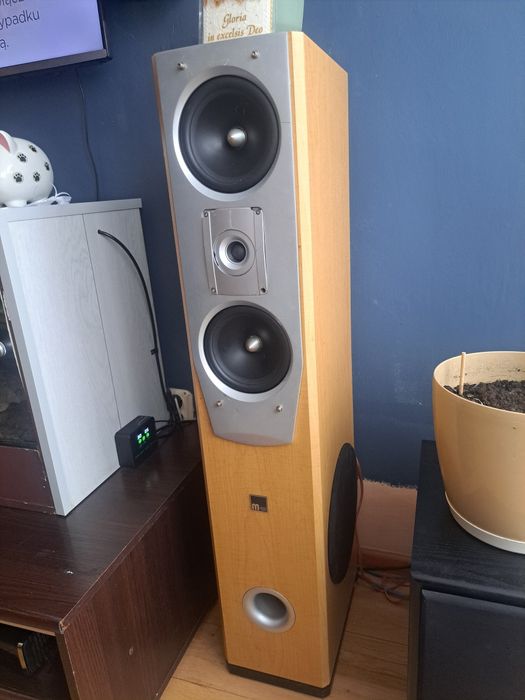 Głośniki podłogowe