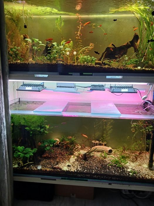 2 акваріума по 460 літрів, з стілажем.