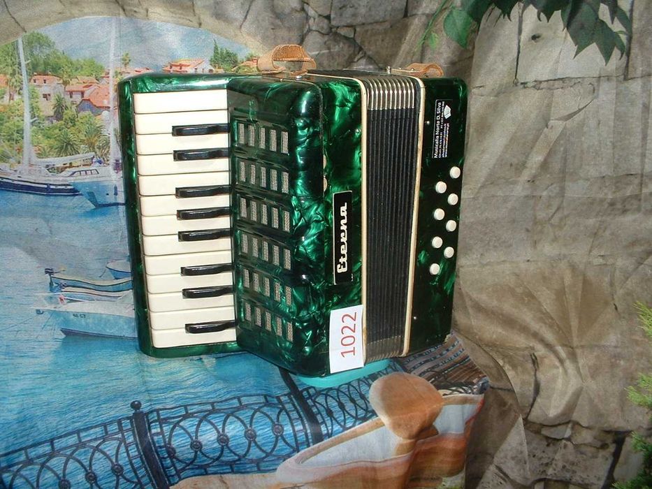 Promoção de Acordeões de concertinas