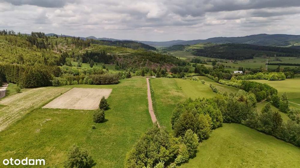 3 Działki W Bartnicy | 3009 M² Z Gotowymi Warunkami Zabudowy