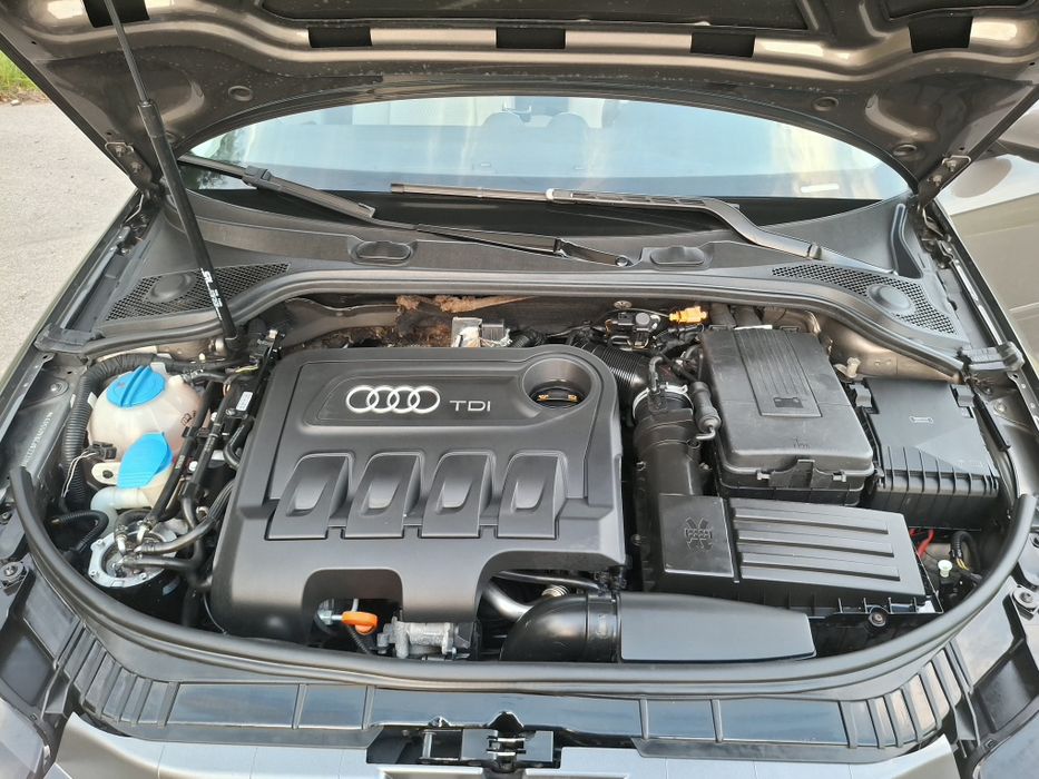 Audi A3 8P 2.0 TDI