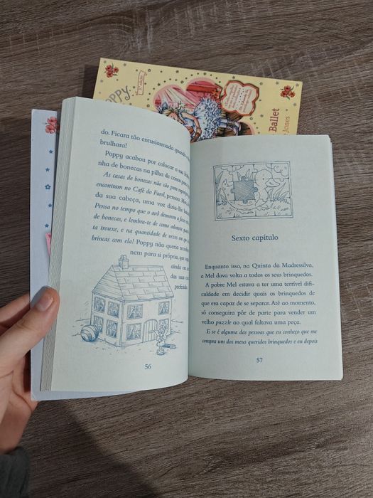 Conjunto Livros Coleção Princesa Poppy