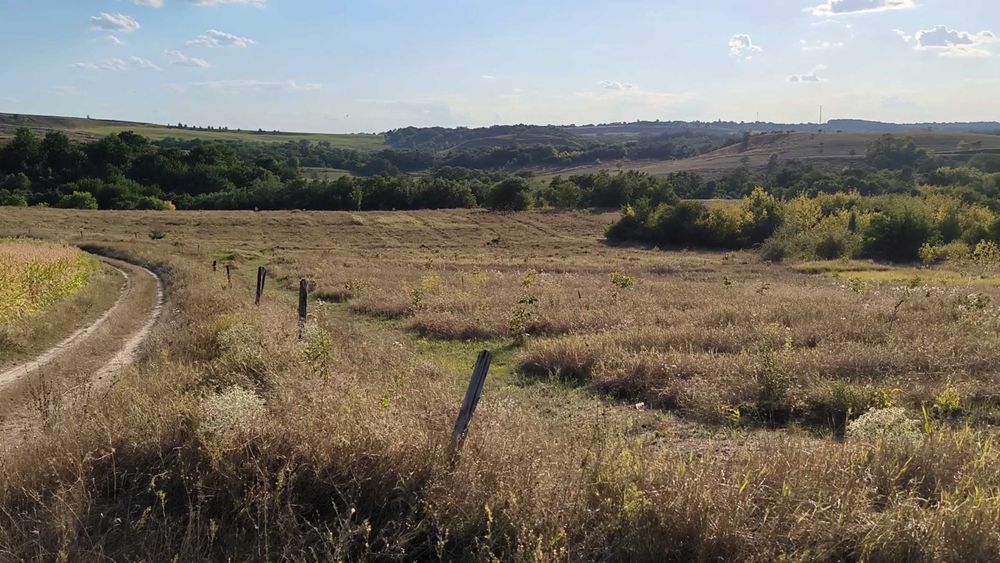 Продам будинок в с.Івківці + 1,85га горіхового саду