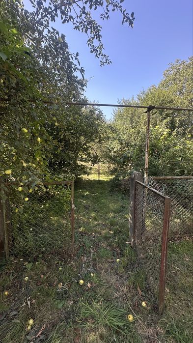 Чернівці; ділянка 20 сот. + 30 оренда; "під будівництво"; вул. Руська;