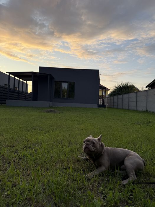 Продаж будинку Святопетрівське, вул. Янтарна