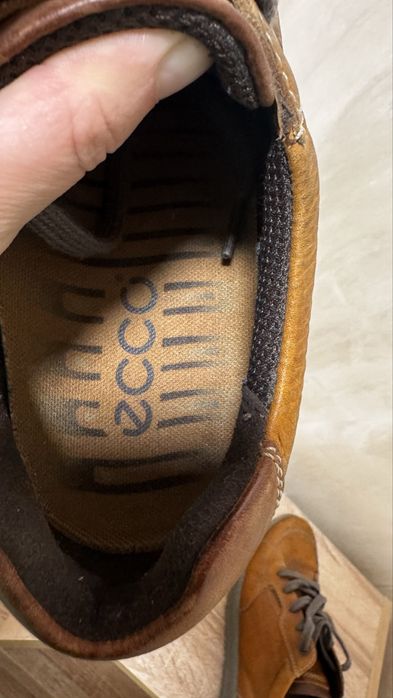 Туфлі    ecco