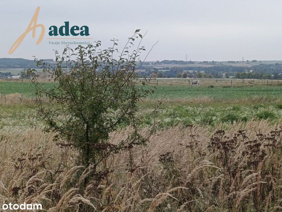 Działka pod wymarzony dom w Podgórzu koło Janowa