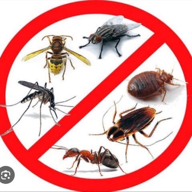 ‼️Дезінфекція , видалення запахів ,потравити тарганів, озон , пліснява