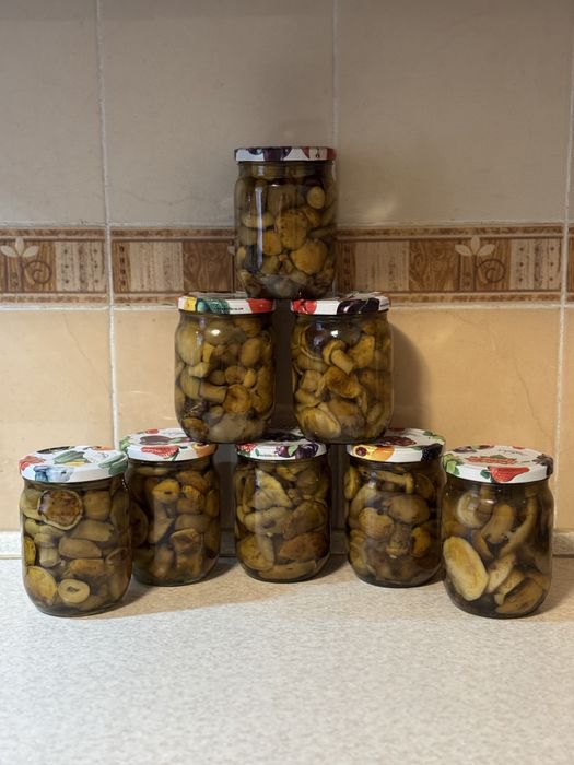 Гриби мариновані Польські.