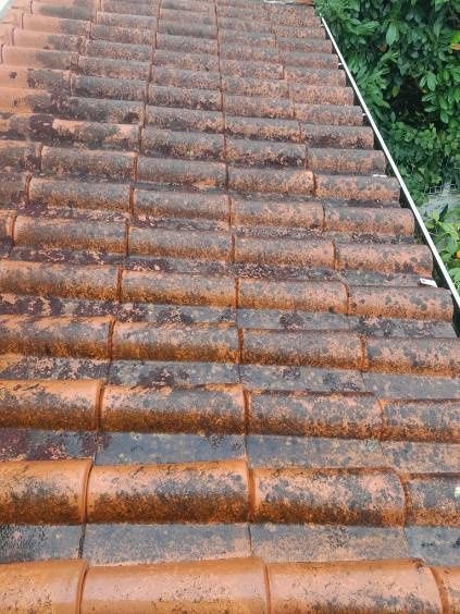 Alves Pintor / preços em conta