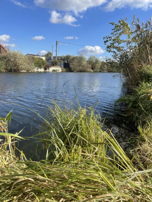 Земельна ділянка