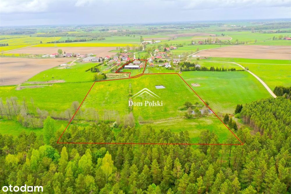 Dom – Wilkasy, powiat olecki - Widok 4