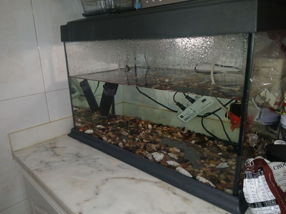 Aquário de peixes