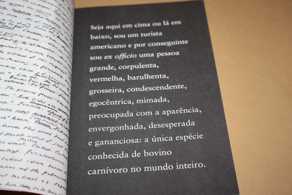 Uma Coisa Supostamente Divertida Que Nunca Mais Vou Fazer// D. F. W.