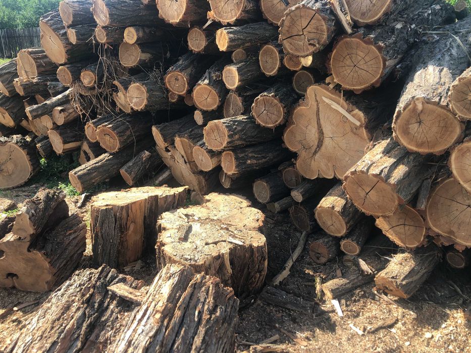 Дрова твердих порід. Доставка від 1 куба